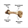 Bonez, Dino Bone, 18"