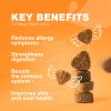 Dog Allergy Relief Chews Itch Relief for Dogs Dog Allergy Chews US Formulated Dog Itching Skin Relief with Salmon Oil Anti Itch Immune Health Seasonal