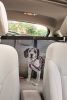 Pet Life Rectangular Easy-Hook Protective Mesh Folding Backseat Car Seat Safety Barrier For Dogs, Cats And Children